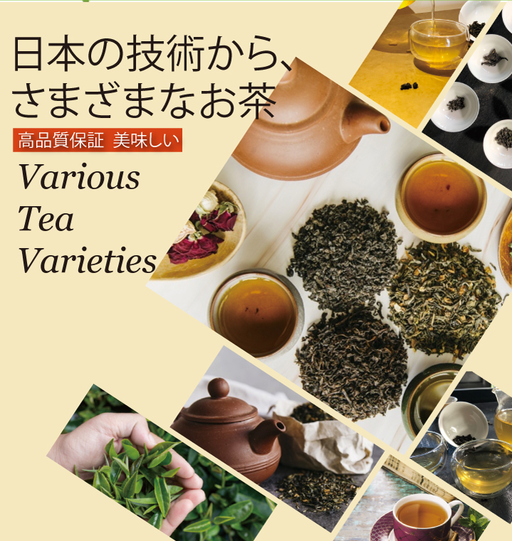 Green Tea Powder Extract